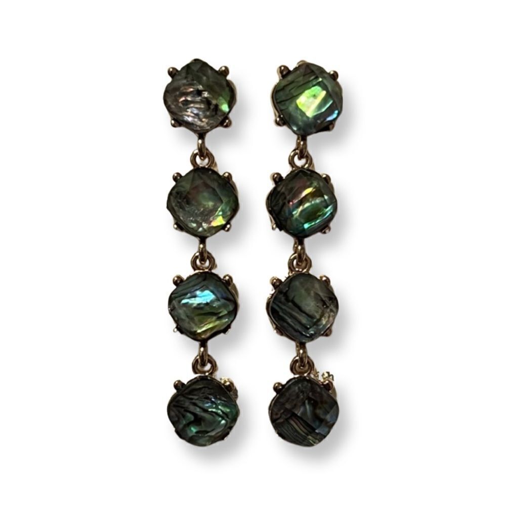 ⭐️3/$25⭐️ NEW Labradorite Dangle Earrings
